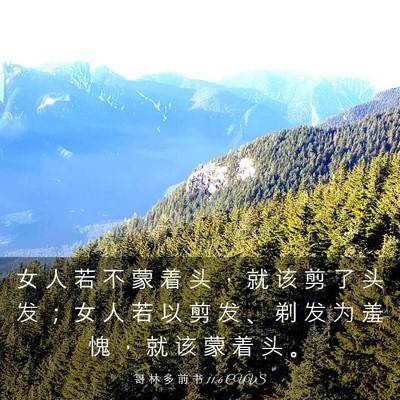 Picture 03 - 哥 林 多 前 书 11:6 CUVS - 女 人 若 不 蒙 着 头 ， 就 该 剪 了 - Bible Verse Picture