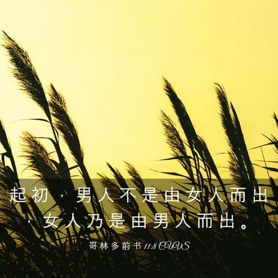 Picture 03 - 哥 林 多 前 书 11:8 CUVS - 起 初 ， 男 人 不 是 由 女 人 而 出 - Bible Verse Picture