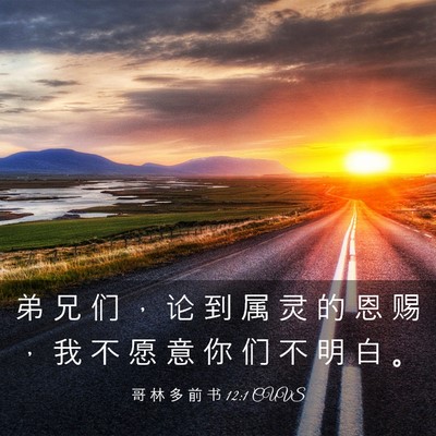 Picture 03 - 哥 林 多 前 书 12:1 CUVS - 弟 兄 们 ， 论 到 属 灵 的 恩 赐 ， - Bible Verse Picture