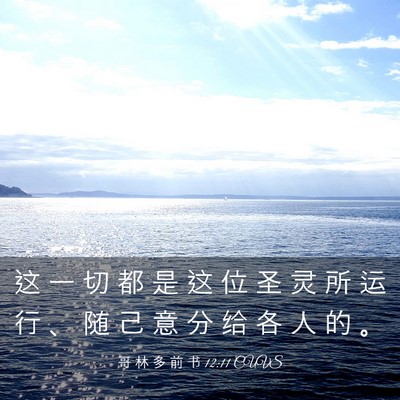 Picture 03 - 哥 林 多 前 书 12:11 CUVS - 这 一 切 都 是 这 位 圣 灵 所 运 行 - Bible Verse Picture