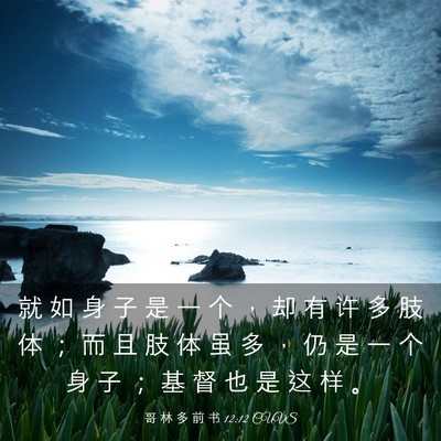 Picture 03 - 哥 林 多 前 书 12:12 CUVS - 就 如 身 子 是 一 个 ， 却 有 许 多 - Bible Verse Picture
