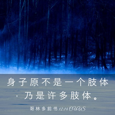 Picture 03 - 哥 林 多 前 书 12:14 CUVS - 身 子 原 不 是 一 个 肢 体 ， 乃 是 - Bible Verse Picture