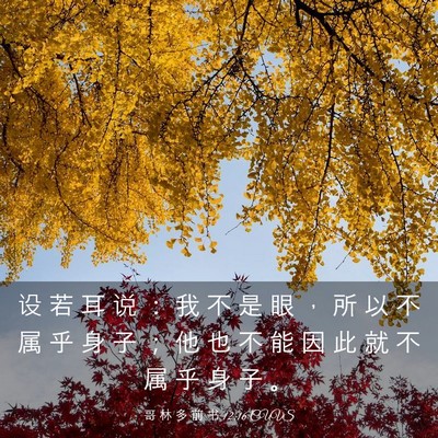 Picture 03 - 哥 林 多 前 书 12:16 CUVS - 设 若 耳 说 ： 我 不 是 眼 ， 所 以 - Bible Verse Picture