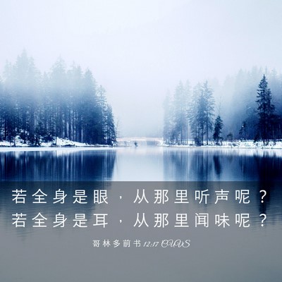 Picture 03 - 哥 林 多 前 书 12:17 CUVS - 若 全 身 是 眼 ， 从 那 里 听 声 呢 - Bible Verse Picture