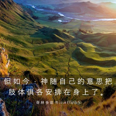Picture 03 - 哥 林 多 前 书 12:18 CUVS - 但 如 今 ， 神 随 自 己 的 意 思 把 - Bible Verse Picture