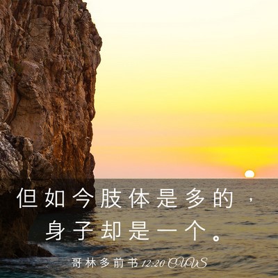 Picture 03 - 哥 林 多 前 书 12:20 CUVS - 但 如 今 肢 体 是 多 的 ， 身 子 却 - Bible Verse Picture