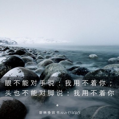 Picture 03 - 哥 林 多 前 书 12:21 CUVS - 眼 不 能 对 手 说 ： 我 用 不 着 你 - Bible Verse Picture