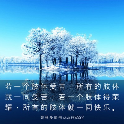 Picture 03 - 哥 林 多 前 书 12:26 CUVS - 若 一 个 肢 体 受 苦 ， 所 有 的 肢 - Bible Verse Picture