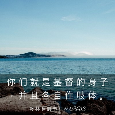 Picture 03 - 哥 林 多 前 书 12:27 CUVS - 你 们 就 是 基 督 的 身 子 ， 并 且 - Bible Verse Picture