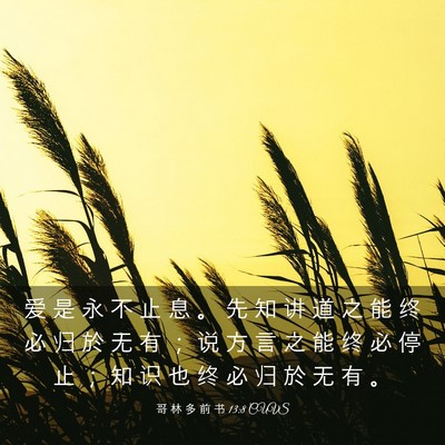 Picture 03 - 哥 林 多 前 书 13:8 CUVS - 爱 是 永 不 止 息 。 先 知 讲 道 之 - Bible Verse Picture