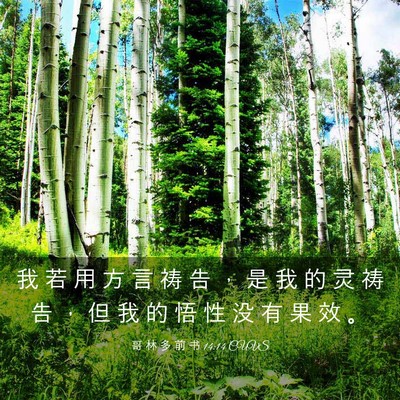Picture 03 - 哥 林 多 前 书 14:14 CUVS - 我 若 用 方 言 祷 告 ， 是 我 的 灵 - Bible Verse Picture