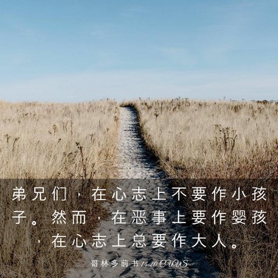 Picture 03 - 哥 林 多 前 书 14:20 CUVS - 弟 兄 们 ， 在 心 志 上 不 要 作 小 - Bible Verse Picture