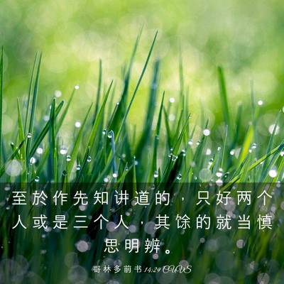 Picture 03 - 哥 林 多 前 书 14:29 CUVS - 至 於 作 先 知 讲 道 的 ， 只 好 两 - Bible Verse Picture