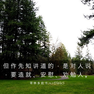 Picture 03 - 哥 林 多 前 书 14:3 CUVS - 但 作 先 知 讲 道 的 ， 是 对 人 说 - Bible Verse Picture