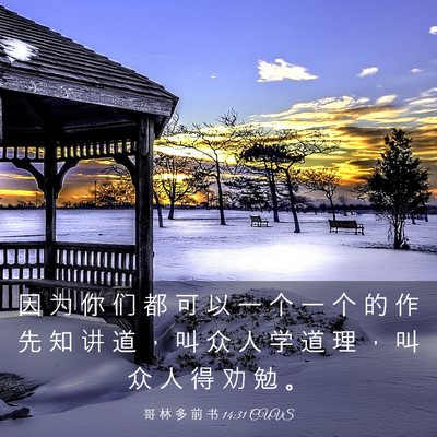 Picture 03 - 哥 林 多 前 书 14:31 CUVS - 因 为 你 们 都 可 以 一 个 一 个 的 - Bible Verse Picture