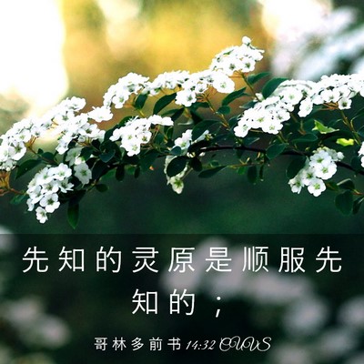 Picture 03 - 哥 林 多 前 书 14:32 CUVS - 先 知 的 灵 原 是 顺 服 先 知 的 - Bible Verse Picture