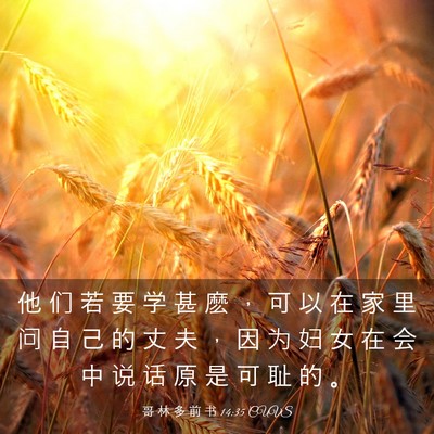 Picture 03 - 哥 林 多 前 书 14:35 CUVS - 他 们 若 要 学 甚 麽 ， 可 以 在 家 - Bible Verse Picture