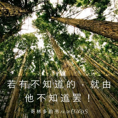 Picture 03 - 哥 林 多 前 书 14:38 CUVS - 若 有 不 知 道 的 ， 就 由 他 不 知 - Bible Verse Picture