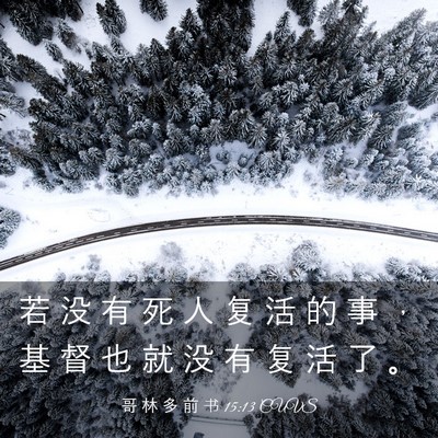 Picture 03 - 哥 林 多 前 书 15:13 CUVS - 若 没 有 死 人 复 活 的 事 ， 基 督 - Bible Verse Picture