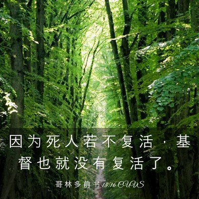 Picture 03 - 哥 林 多 前 书 15:16 CUVS - 因 为 死 人 若 不 复 活 ， 基 督 也 - Bible Verse Picture