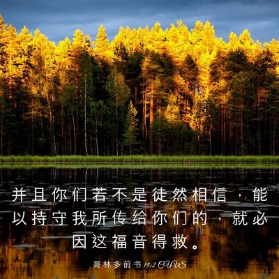 Picture 03 - 哥 林 多 前 书 15:2 CUVS - 并 且 你 们 若 不 是 徒 然 相 信 ， - Bible Verse Picture