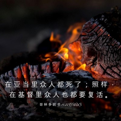 Picture 03 - 哥 林 多 前 书 15:22 CUVS - 在 亚 当 里 众 人 都 死 了 ； 照 样 - Bible Verse Picture