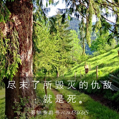 Picture 03 - 哥 林 多 前 书 15:26 CUVS - 尽 末 了 所 毁 灭 的 仇 敌 ， 就 是 - Bible Verse Picture