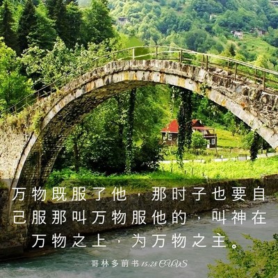 Picture 03 - 哥 林 多 前 书 15:28 CUVS - 万 物 既 服 了 他 ， 那 时 子 也 要 - Bible Verse Picture