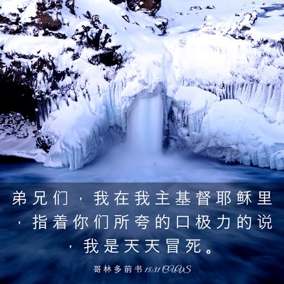 Picture 03 - 哥 林 多 前 书 15:31 CUVS - 弟 兄 们 ， 我 在 我 主 基 督 耶 稣 - Bible Verse Picture