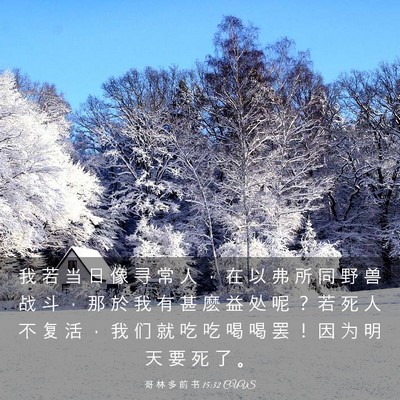 Picture 03 - 哥 林 多 前 书 15:32 CUVS - 我 若 当 日 像 寻 常 人 ， 在 以 弗 - Bible Verse Picture