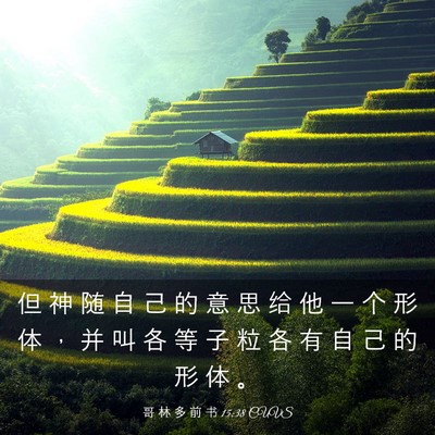 Picture 03 - 哥 林 多 前 书 15:38 CUVS - 但 神 随 自 己 的 意 思 给 他 一 个 - Bible Verse Picture