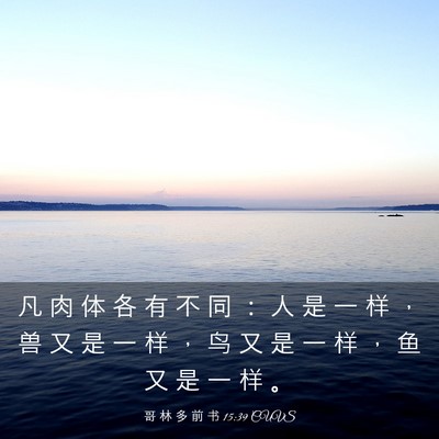 Picture 03 - 哥 林 多 前 书 15:39 CUVS - 凡 肉 体 各 有 不 同 ： 人 是 一 样 - Bible Verse Picture
