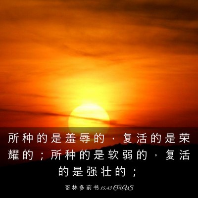 Picture 03 - 哥 林 多 前 书 15:43 CUVS - 所 种 的 是 羞 辱 的 ， 复 活 的 是 - Bible Verse Picture