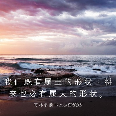 Picture 03 - 哥 林 多 前 书 15:49 CUVS - 我 们 既 有 属 土 的 形 状 ， 将 来 - Bible Verse Picture