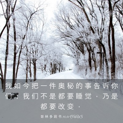 Picture 03 - 哥 林 多 前 书 15:51 CUVS - 我 如 今 把 一 件 奥 秘 的 事 告 诉 - Bible Verse Picture