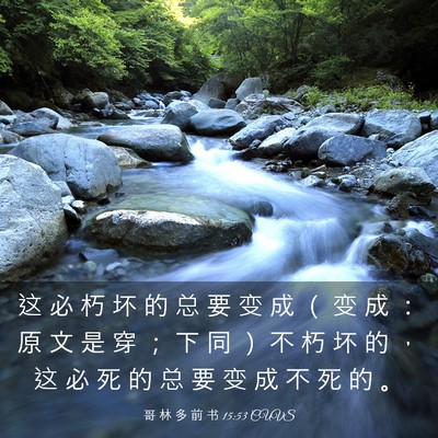 Picture 03 - 哥 林 多 前 书 15:53 CUVS - 这 必 朽 坏 的 总 要 变 成 （ 变 成 - Bible Verse Picture