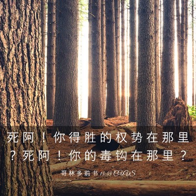 Picture 03 - 哥 林 多 前 书 15:55 CUVS - 死 阿 ！ 你 得 胜 的 权 势 在 那 里 - Bible Verse Picture