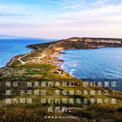 Picture 03 - 哥 林 多 前 书 15:58 CUVS - 所 以 ， 我 亲 爱 的 弟 兄 们 ， 你 - Bible Verse Picture