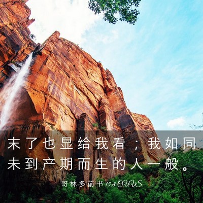 Picture 03 - 哥 林 多 前 书 15:8 CUVS - 末 了 也 显 给 我 看 ； 我 如 同 未 - Bible Verse Picture