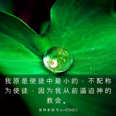 Picture 03 - 哥 林 多 前 书 15:9 CUVS - 我 原 是 使 徒 中 最 小 的 ， 不 配 - Bible Verse Picture