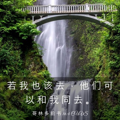 Picture 03 - 哥 林 多 前 书 16:4 CUVS - 若 我 也 该 去 ， 他 们 可 以 和 我 - Bible Verse Picture
