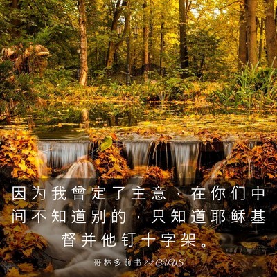Picture 03 - 哥 林 多 前 书 2:2 CUVS - 因 为 我 曾 定 了 主 意 ， 在 你 们 - Bible Verse Picture