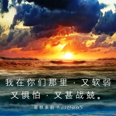 Picture 03 - 哥 林 多 前 书 2:3 CUVS - 我 在 你 们 那 里 ， 又 软 弱 又 惧 - Bible Verse Picture