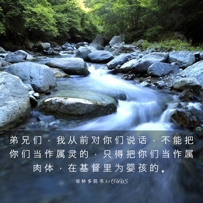 Picture 03 - 哥 林 多 前 书 3:1 CUVS - 弟 兄 们 ， 我 从 前 对 你 们 说 话 - Bible Verse Picture