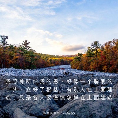 Picture 03 - 哥 林 多 前 书 3:10 CUVS - 我 照 神 所 给 我 的 恩 ， 好 像 一 - Bible Verse Picture