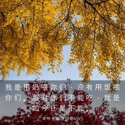 Picture 03 - 哥 林 多 前 书 3:2 CUVS - 我 是 用 奶 喂 你 们 ， 没 有 用 饭 - Bible Verse Picture