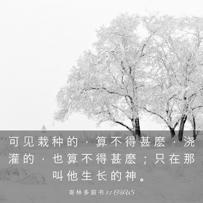 Picture 03 - 哥 林 多 前 书 3:7 CUVS - 可 见 栽 种 的 ， 算 不 得 甚 麽 ， - Bible Verse Picture