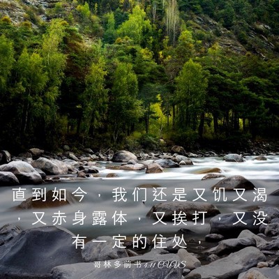 Picture 03 - 哥 林 多 前 书 4:11 CUVS - 直 到 如 今 ， 我 们 还 是 又 饥 又 - Bible Verse Picture