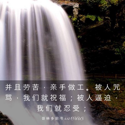 Picture 03 - 哥 林 多 前 书 4:12 CUVS - 并 且 劳 苦 ， 亲 手 做 工 。 被 人 - Bible Verse Picture