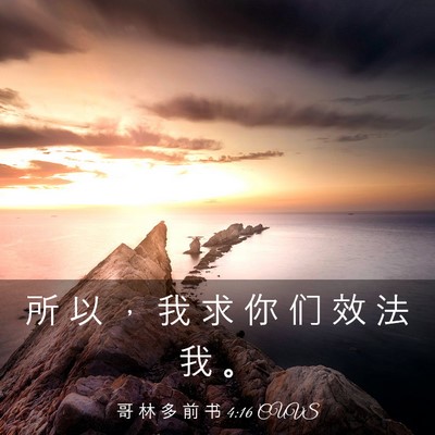 Picture 03 - 哥 林 多 前 书 4:16 CUVS - 所 以 ， 我 求 你 们 效 法 我 - Bible Verse Picture
